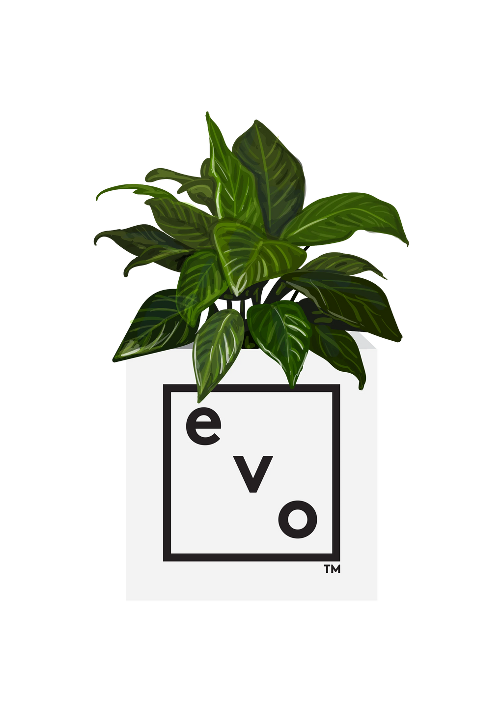 evo planter box with logo