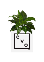 evo planter box with logo