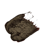 Evo Fabuloso Cool Brown 220ml Colour Depositing Conditioner