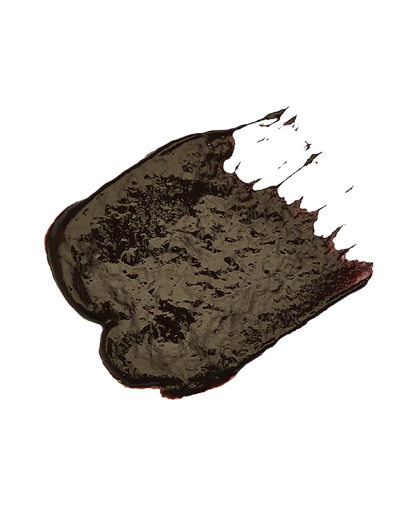 Evo Fabuloso Cool Brown 220ml Colour Depositing Conditioner