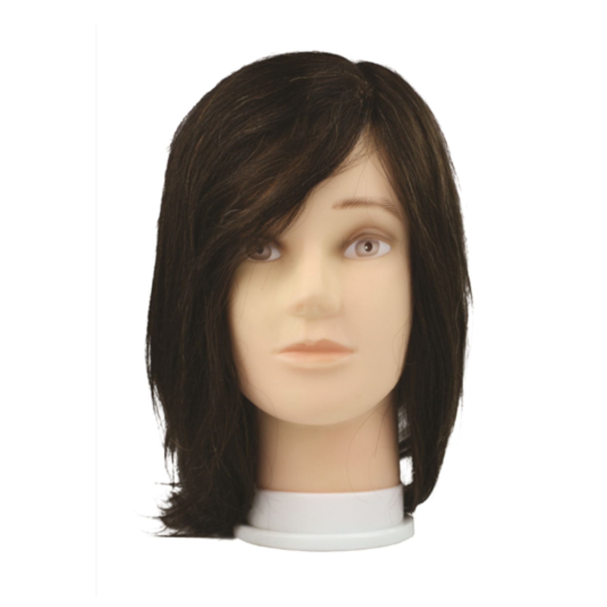 evo cut and style mannequin
