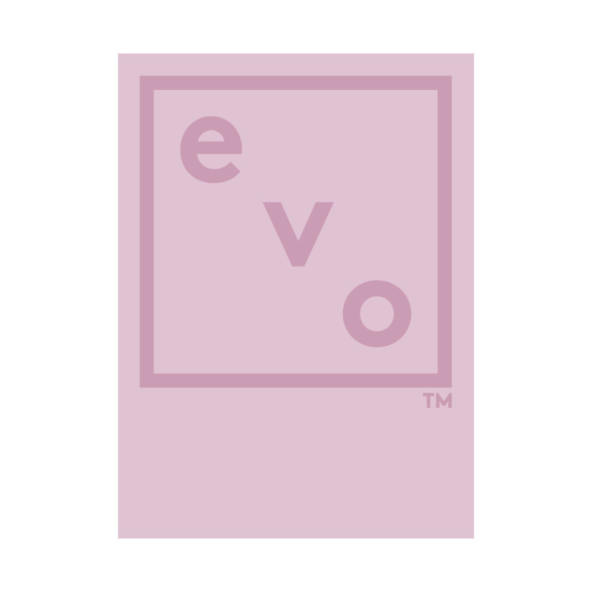 evo brand brochure