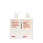 evo repair buddies 500ml
